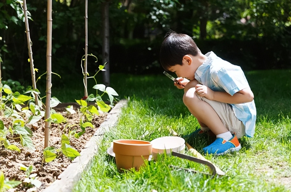 中学创意寒假作业清单,寒假学生创意作业有哪些