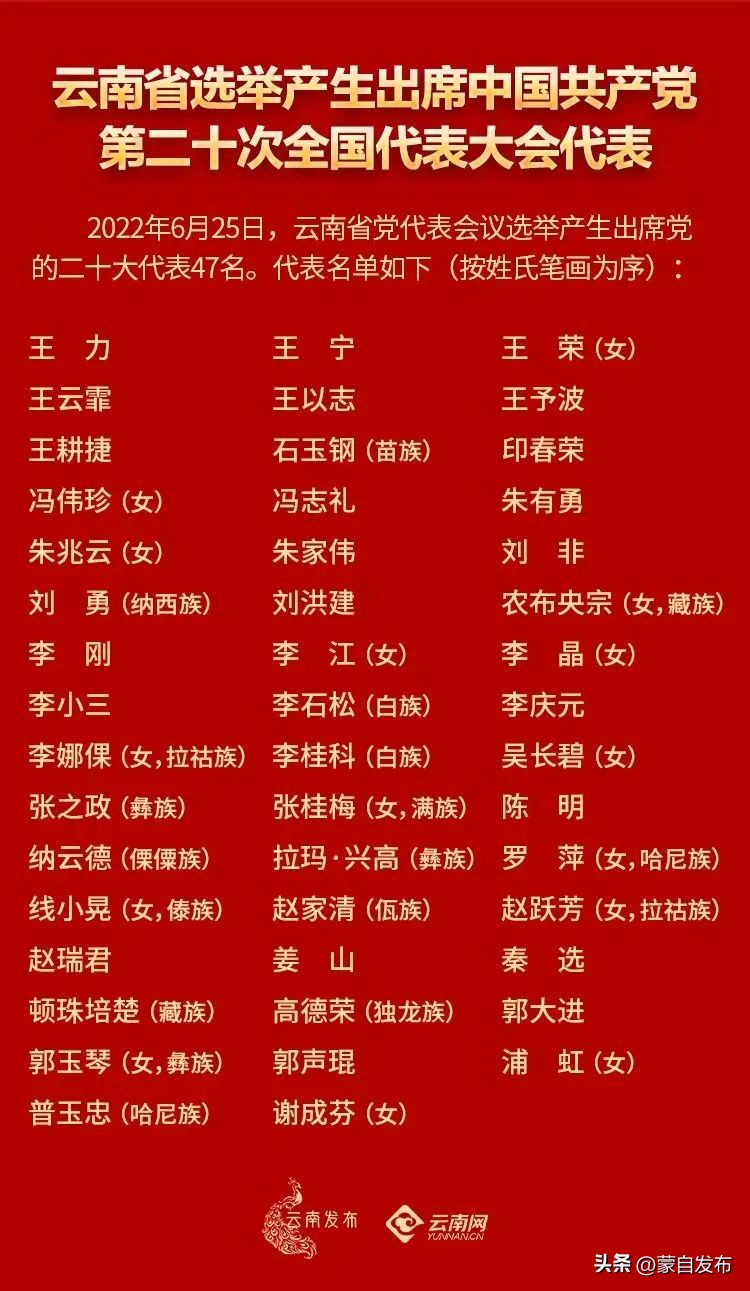 云南出席*党**的二十大代表,背后都有哪些故事?