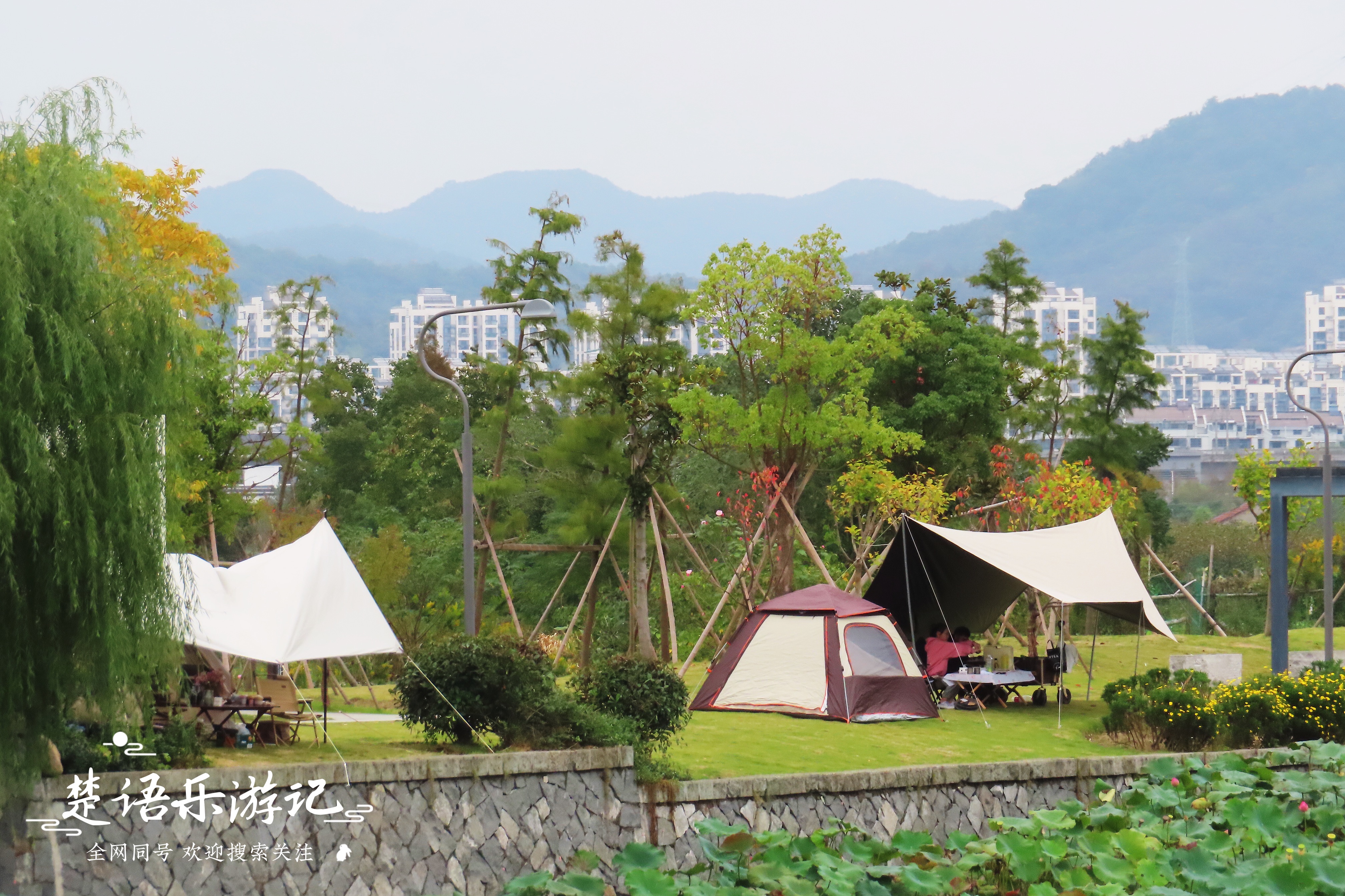宁波附近粉黛花海,粉黛花海宁波