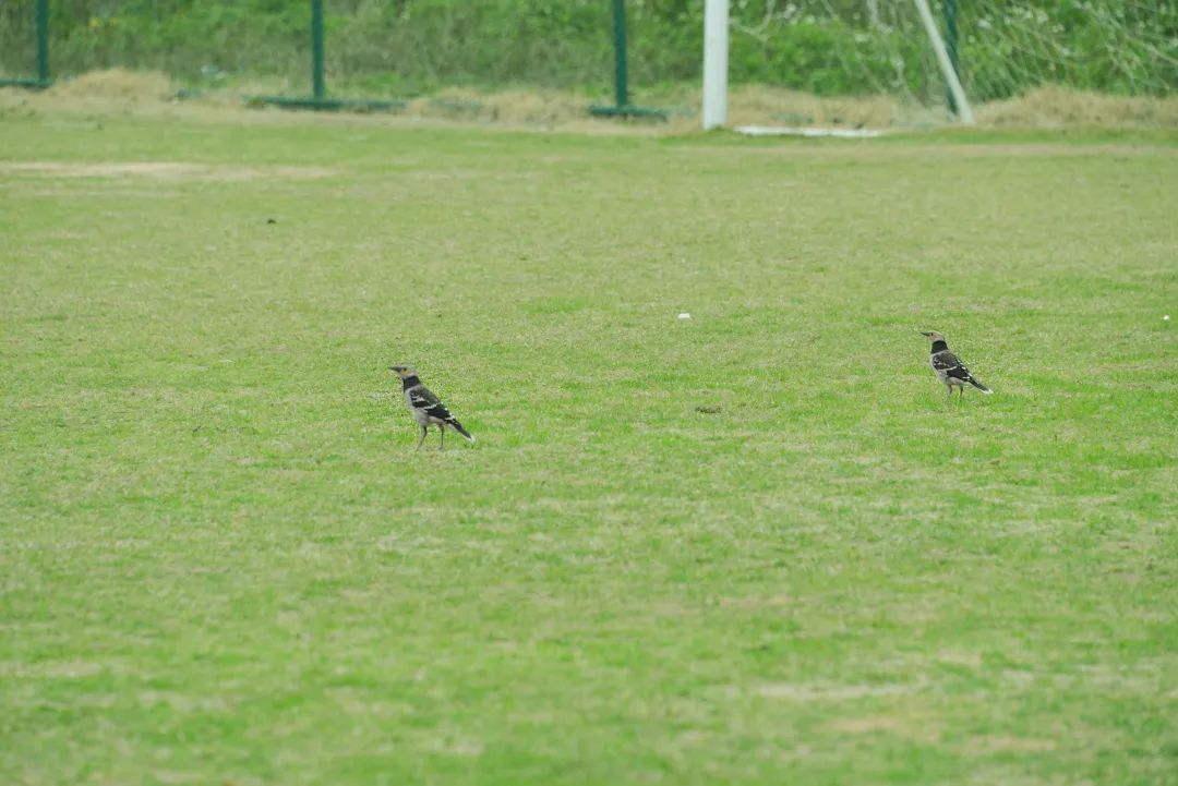 深圳市携创高级技工学校学费2021,深圳携创高级技工学校校区