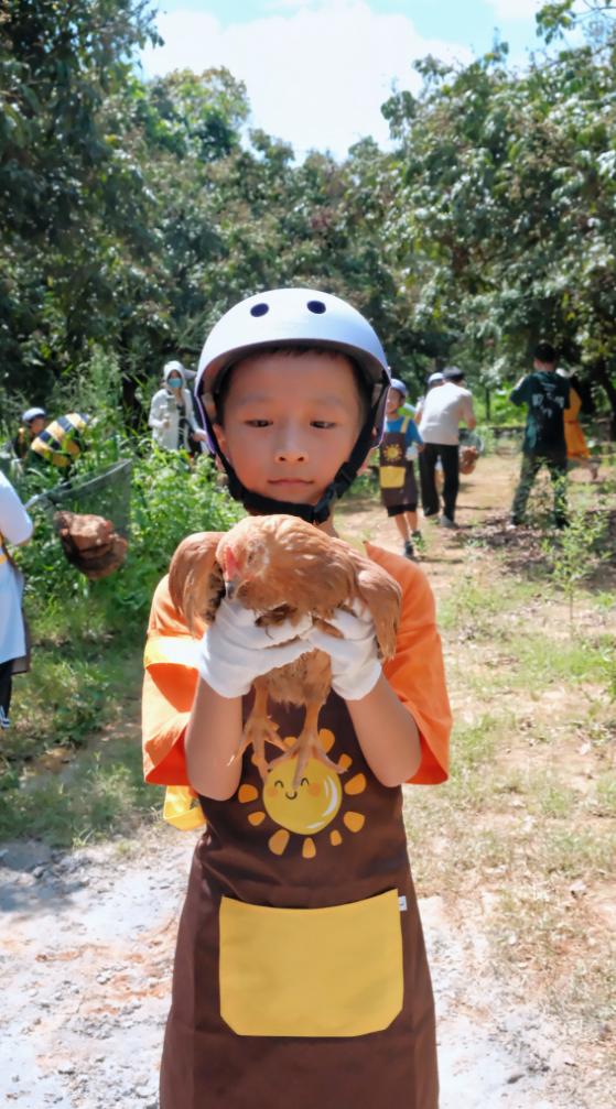 端午假期光明活动超精彩！音乐live、摘荔枝、包粽子……等你解锁！