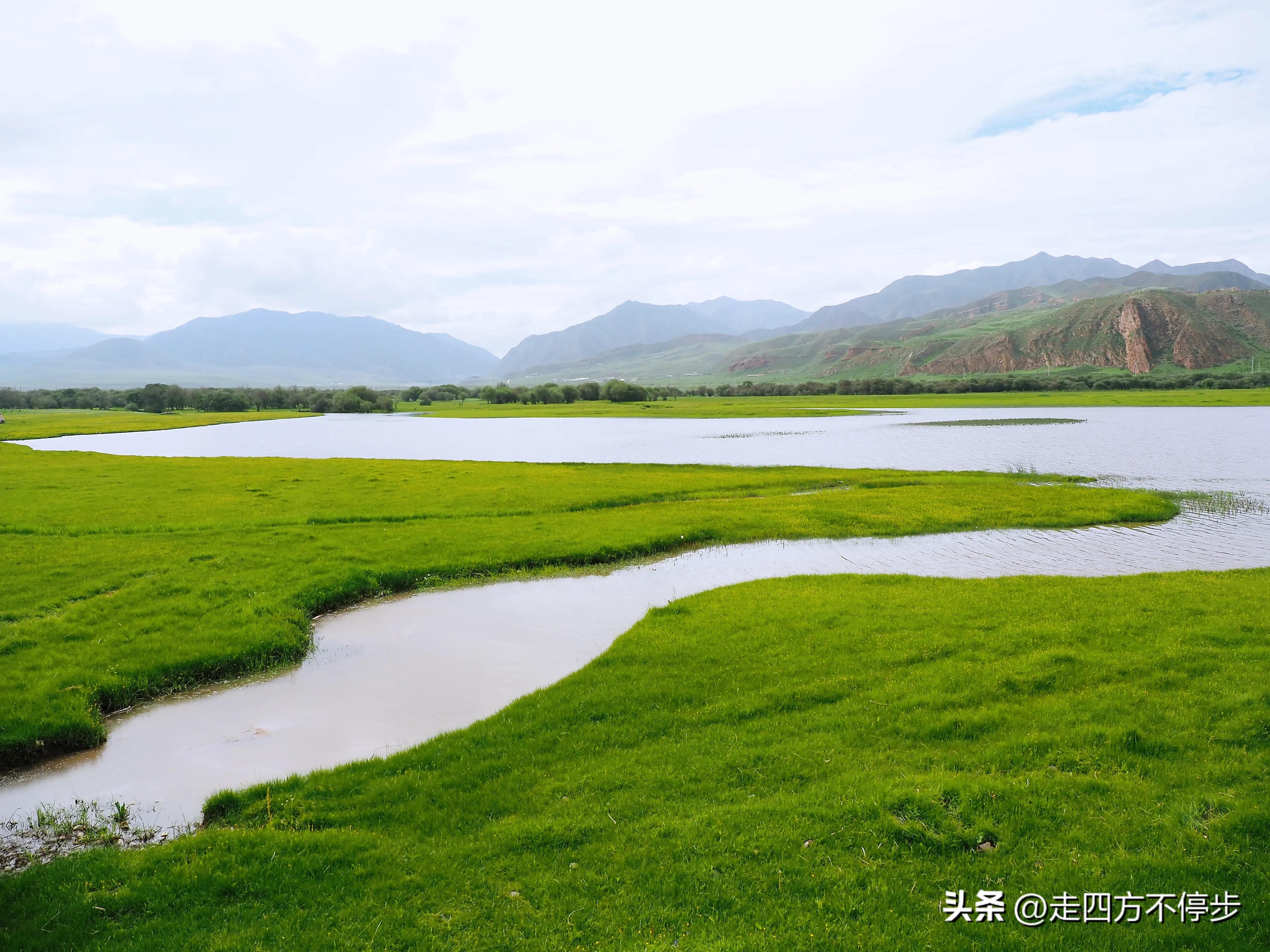 甘南自驾游桑科草原下一站,甘南桑科草原高清精美视频