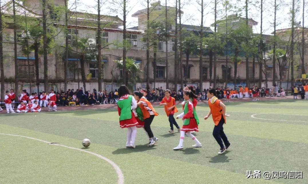 羊山新区第五小学冬季运动会直播,羊山新区第五小学怎么样