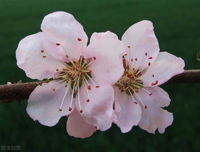 河南省内旅游景点门票免费,河南新乡免费景点全部免门票