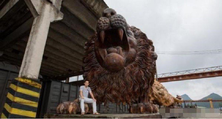 15米长东方雄狮根雕300万元拒卖,广西男子雕刻30吨楠木雄狮