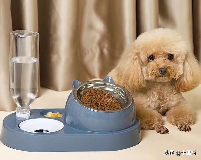 蓝海市场怎么样赚钱,在蓝海市场怎么赚钱