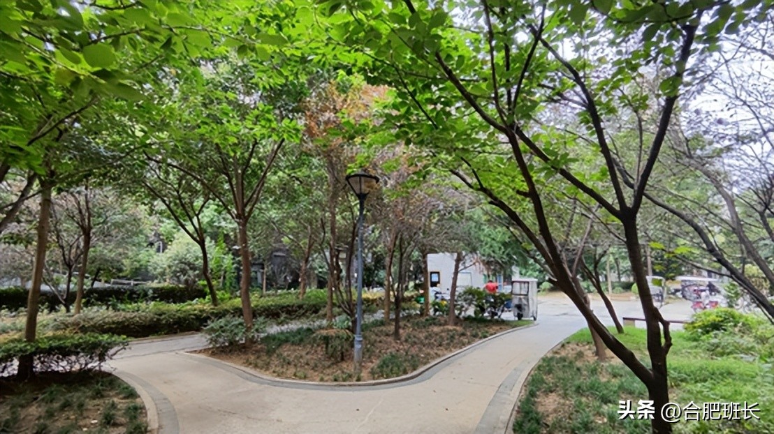 中环云邸最新楼盘,中环云邸楼盘