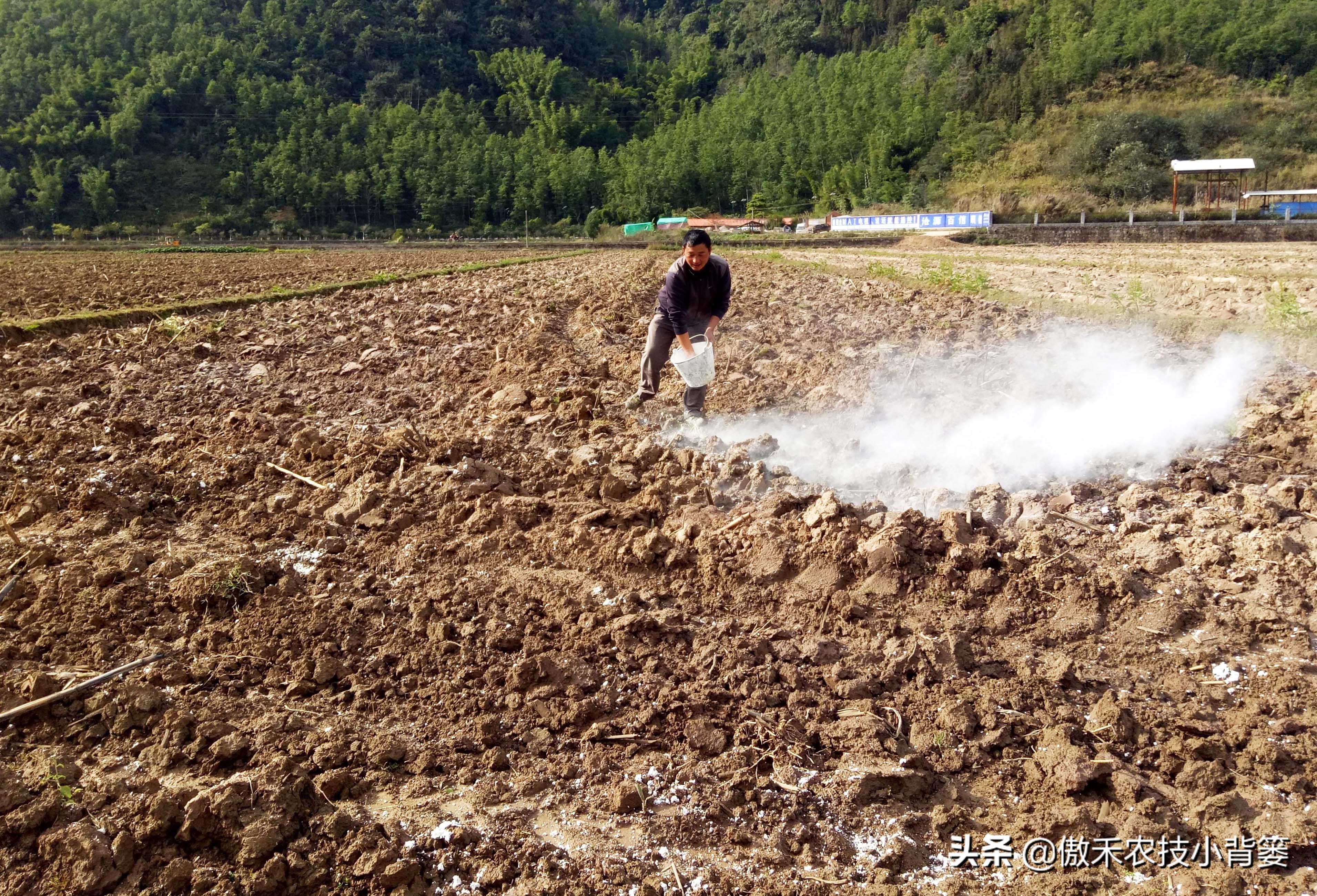 生石灰对种地有什么好处,生石灰农业什么时候用最好