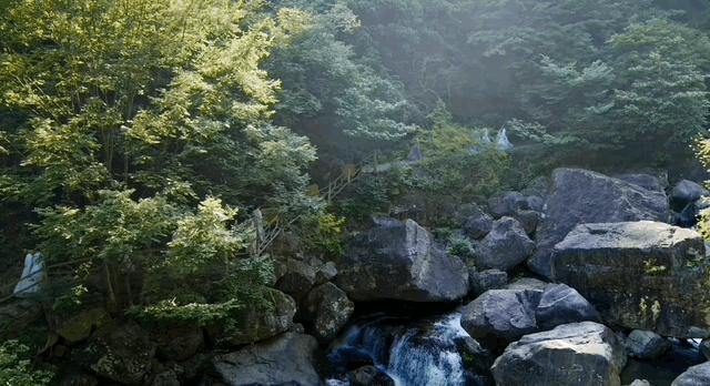 把观众的智商按在地上摩擦？讲真，古偶剧真正能看的就只有这部