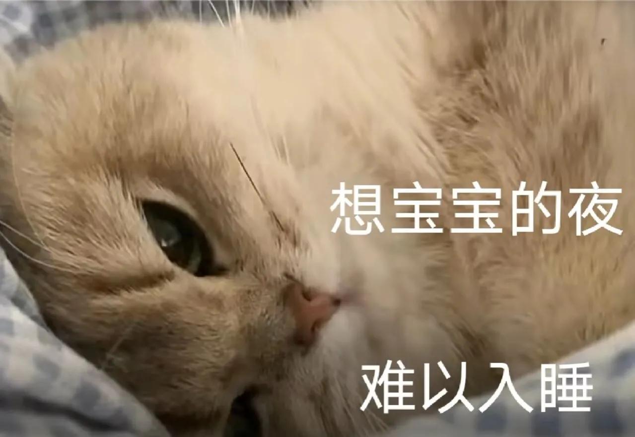 二婚异地恋真的靠谱吗 (刚谈恋爱就异地恋靠谱吗)