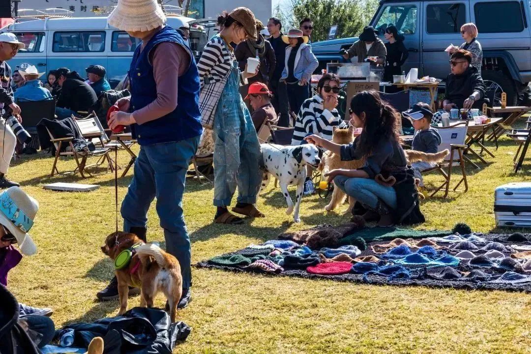 东营森林公园露营节,东营露营节
