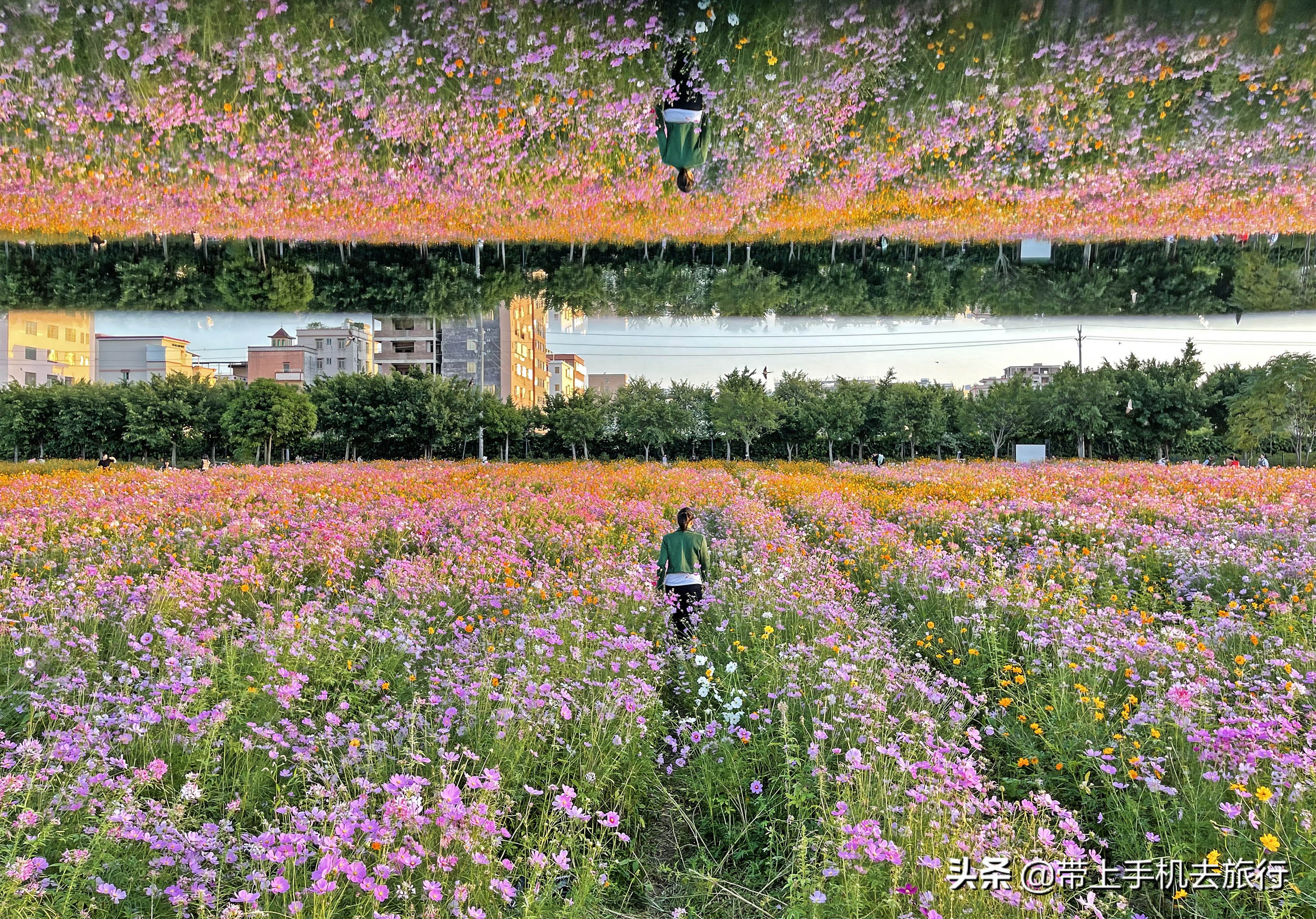 手机摄影怎么样用专业模式,手机摄影是怎么搞的