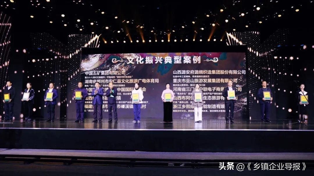 乡村振兴赋能计划人才典型案例,乡村振兴之文化振兴案例