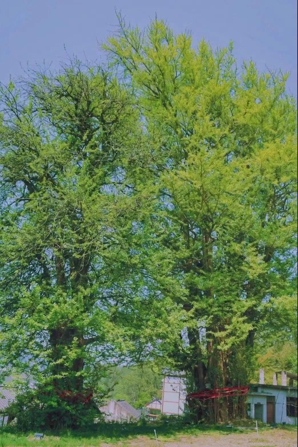 醉美偏坡美食团购,醉美偏坡海鲜烧烤