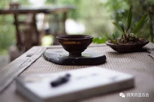 生命的美好与丰盈,让生命如此丰盈