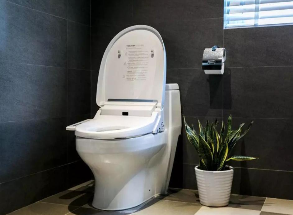 卫生间有必要装智能马桶吗,小卫生间有必要安装智能马桶