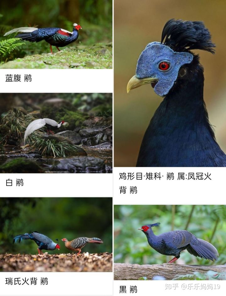 笠翁对韵上卷声律启蒙诵读,声律启蒙上卷·十五删