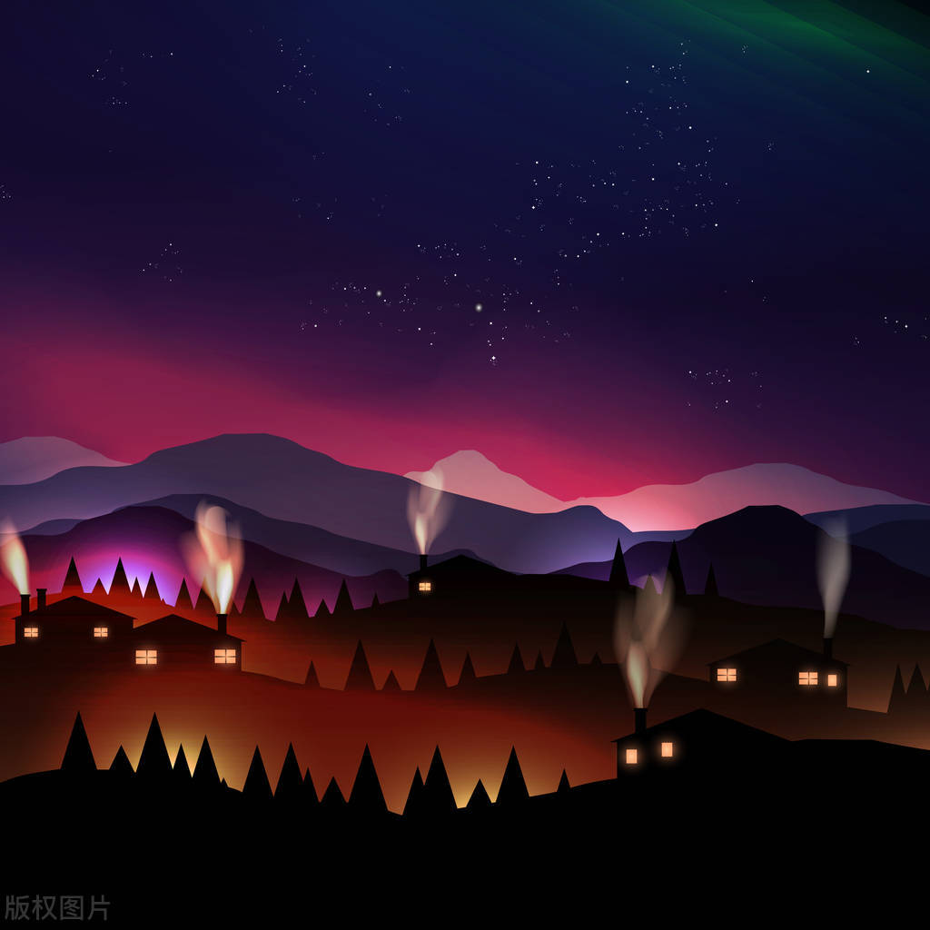 探索财富森林：神秘投资树带来的惊喜