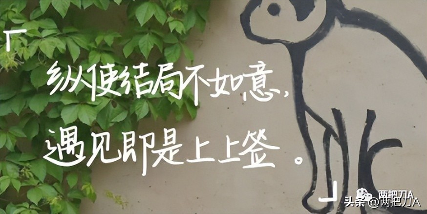 白手起家营销文案,营销文案怎么拆解