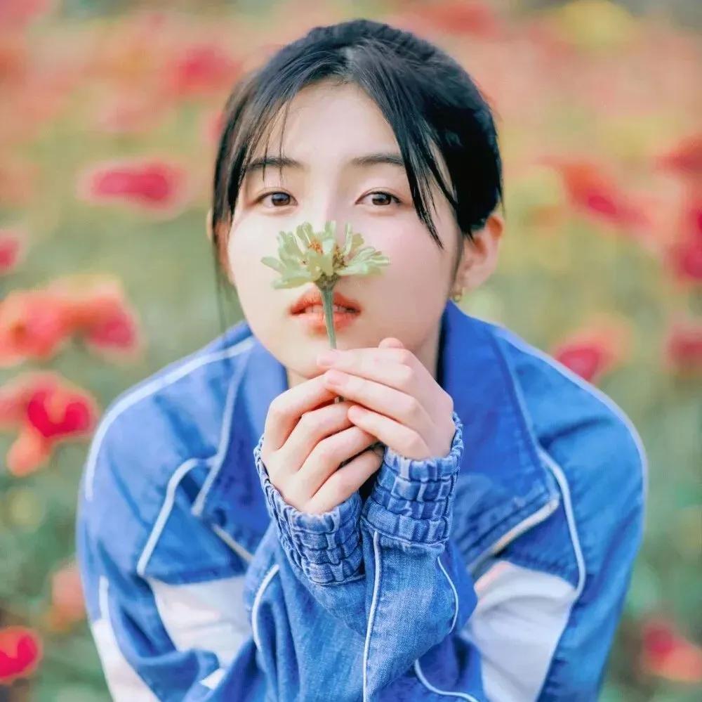 爱豆模板卡点张子枫,张子枫彭昱畅情侣头像