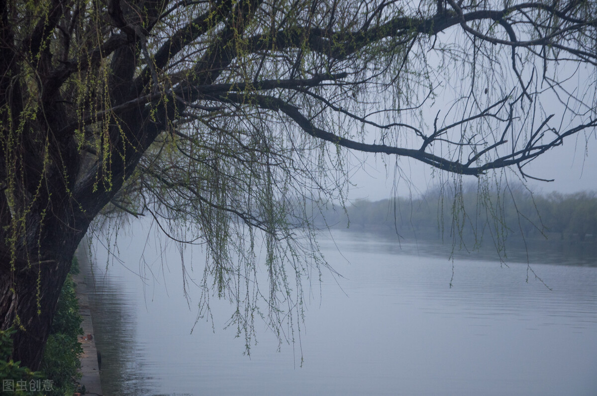 风吹杨柳万千条选段,风吹杨柳万千条指什么生肖