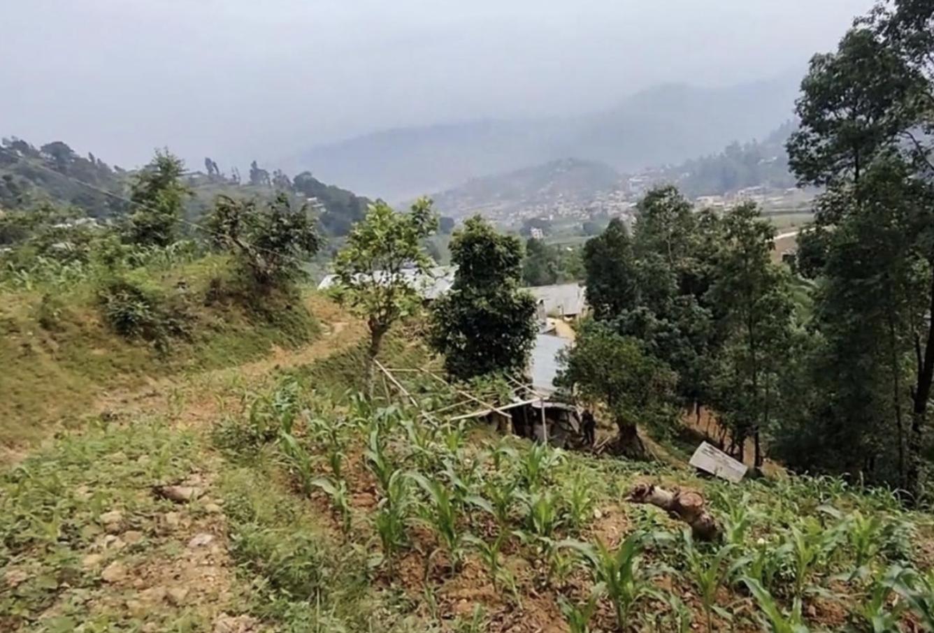 尼泊尔美女嫁中国小伙的幸福生活,尼泊尔结婚黄金