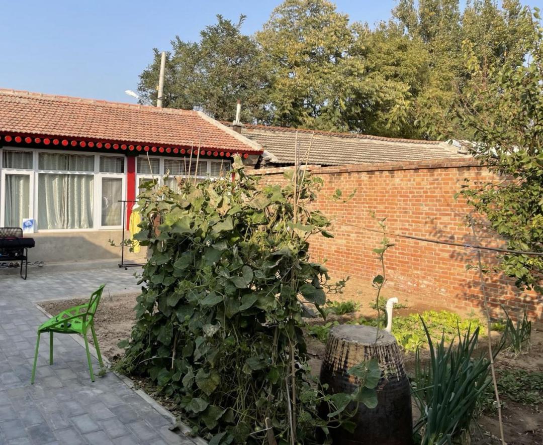 配音演员北漂,北漂女演员租房10年房租百万