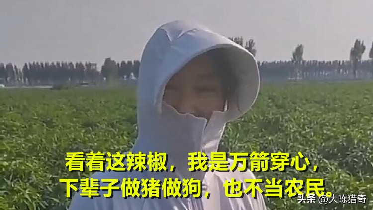 买到假辣椒苗子怎么办,疑似买到假种子