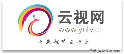 头条看电视剧免费,头条上看电视剧怎么看