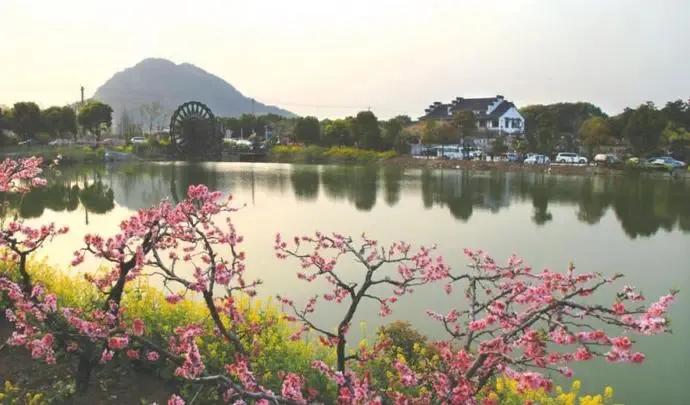 阳山乡村振兴规划,无锡阳山田园风光美丽乡村