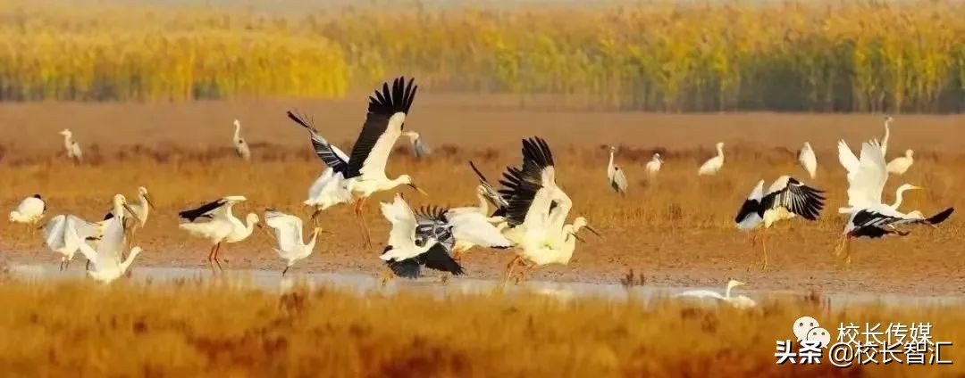 聚焦双减提质增效,双减形势下减负提质增效