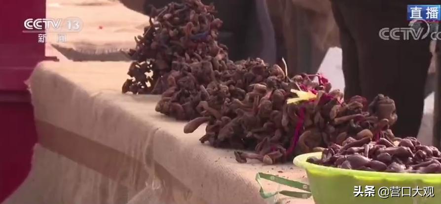 营口鲅鱼圈红旗大集,鲅鱼圈红旗大集视频