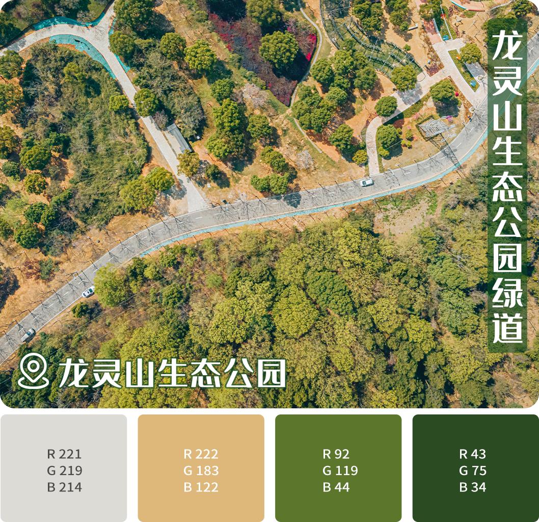 车谷灯光秀,车谷光影秀