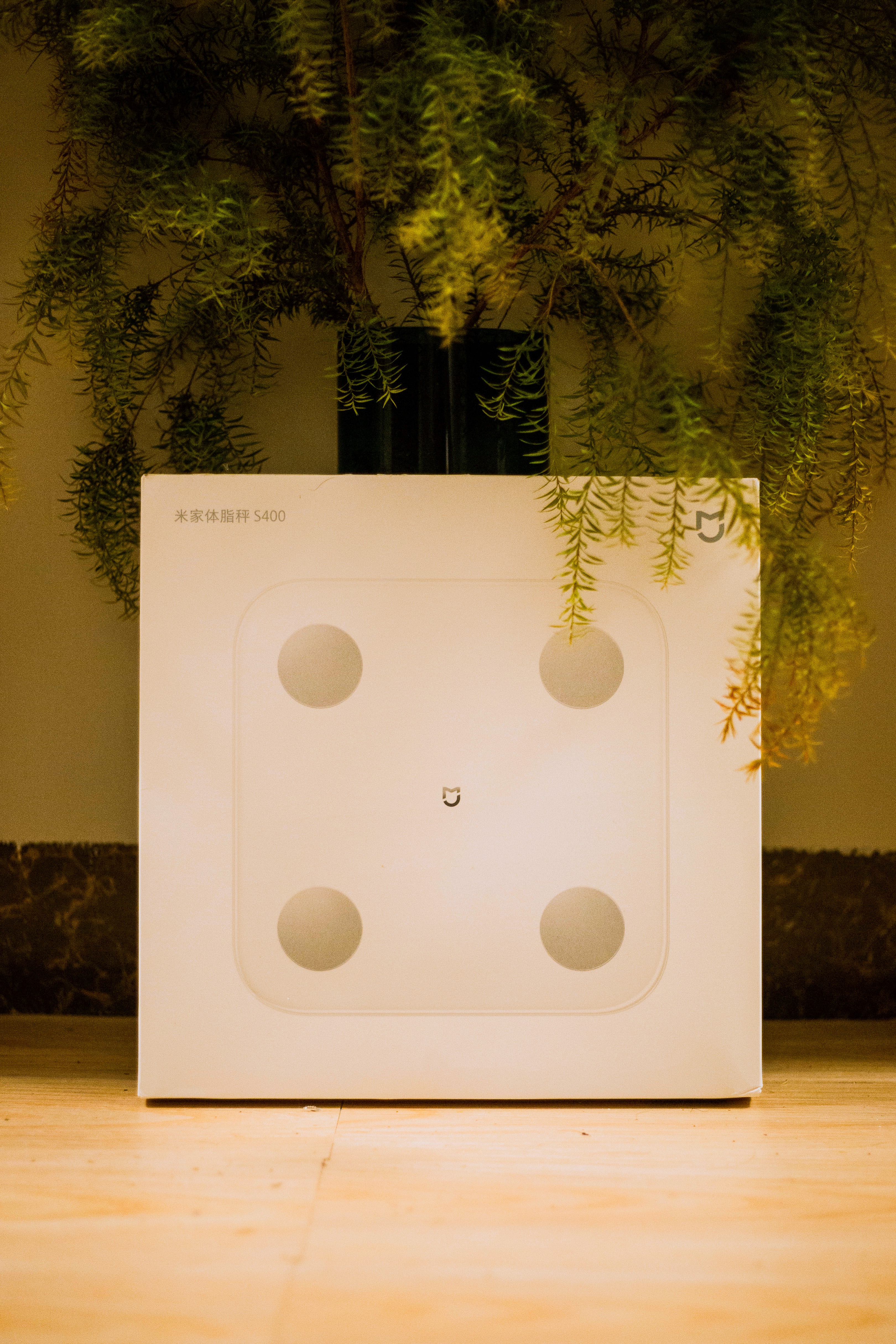 智能体脂健康秤推荐,米家99元体脂秤