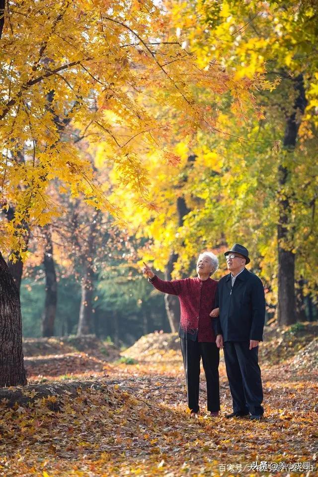 75岁父母要离婚该怎么劝,70岁父母经常吵架怎么处理