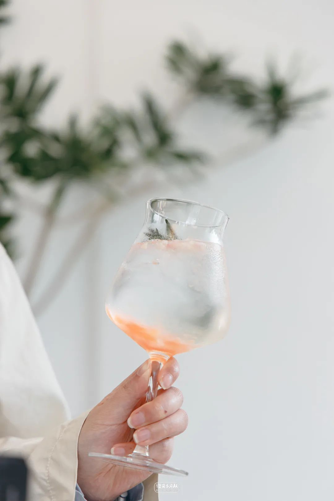 樱花最旺盛的时间,樱花最茂盛的时候是哪个季节