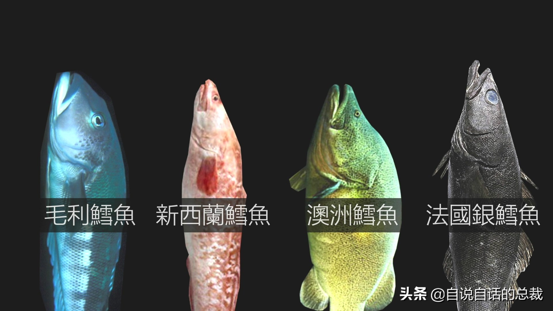 为什么买的鳕鱼段都是粘液,为什么买的鳕鱼那么多水