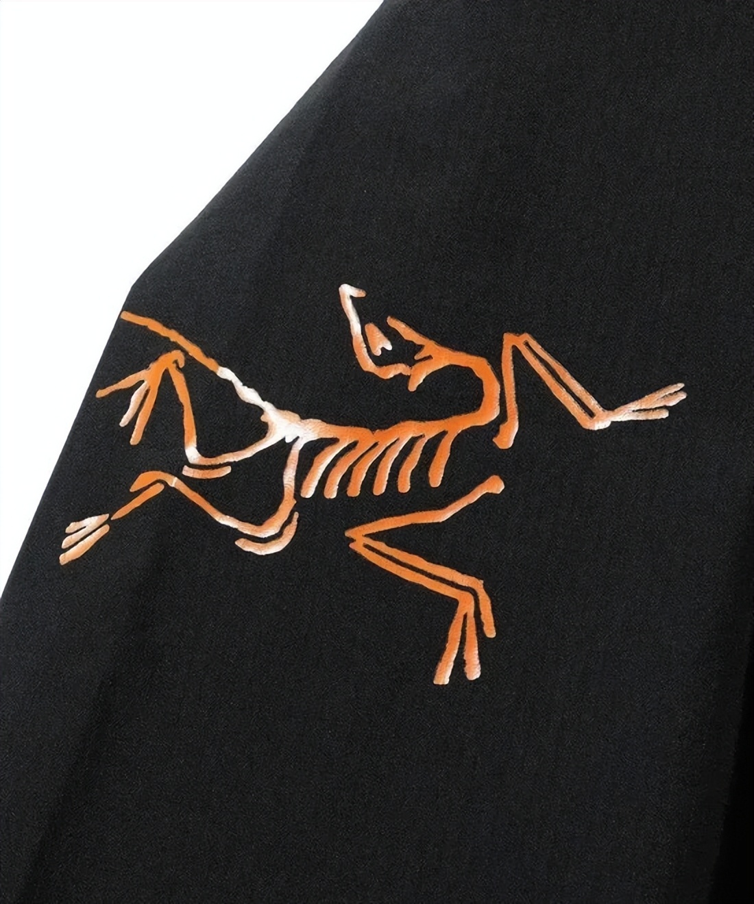 顶级户外品牌排行榜始祖鸟,始祖鸟和爱马仕