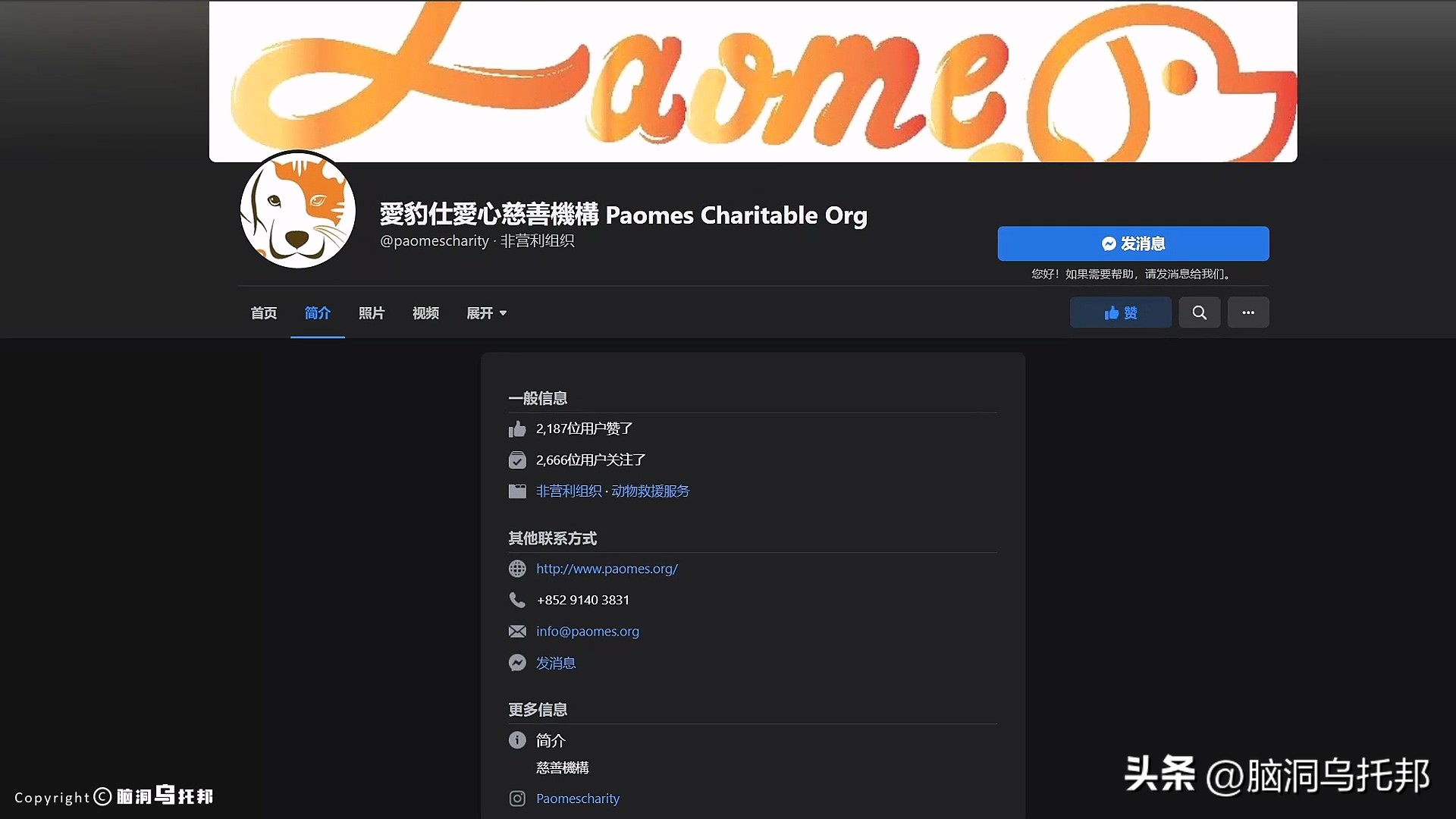 名媛碎尸案最新案情,名媛蔡天凤碎尸案细节视频