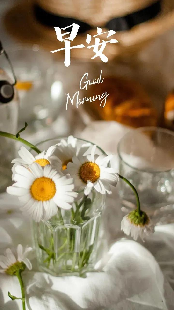 每日一签｜07月02日，早上好。祝大家周末愉快，早安快乐