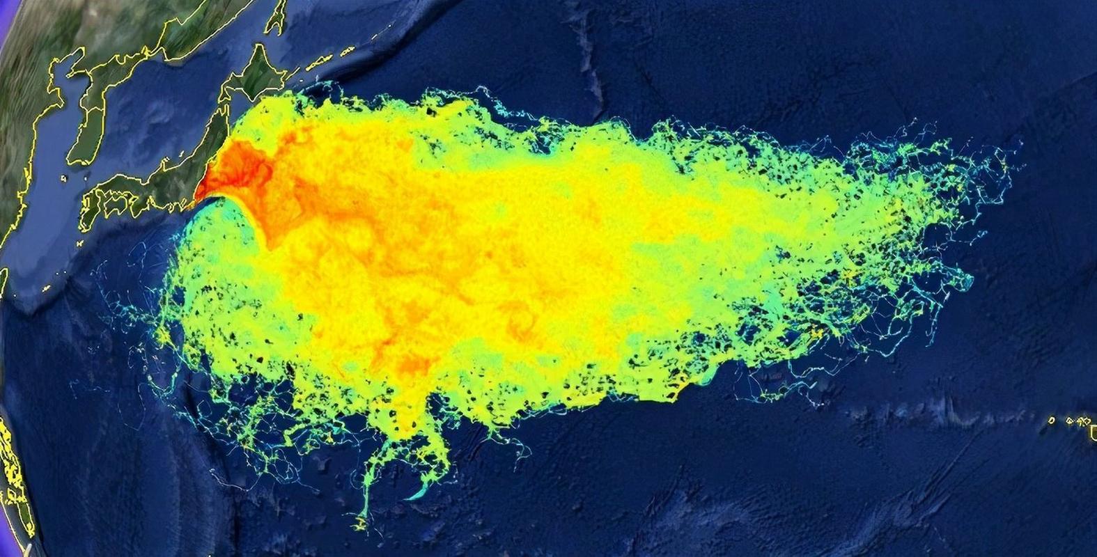 环保组织骗局,环保组织的骗局