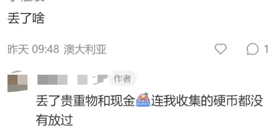 澳洲治安怎么样,澳洲悉尼治安情况