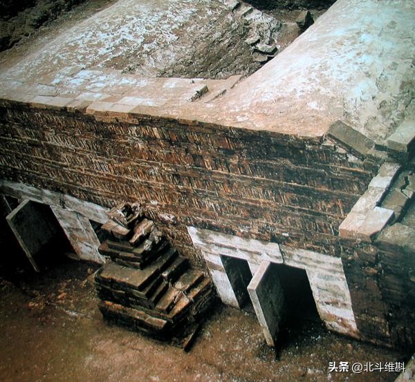 中国dna确定100万年古人类,从dna角度看人类