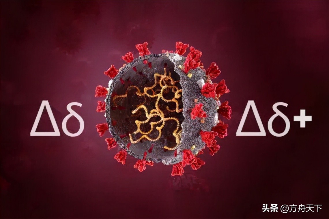 加拿大研究出治疗新冠药物,好消息国产新冠特效药