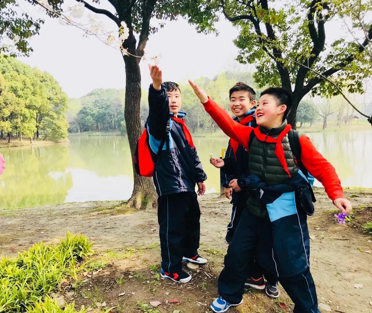 原创|重温网课时光:停课不停学,网课初体验(学生优秀习作)