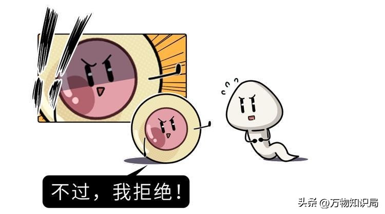 进入女性体内后，没“受精”成功的精子都去哪儿了？既好笑又心疼