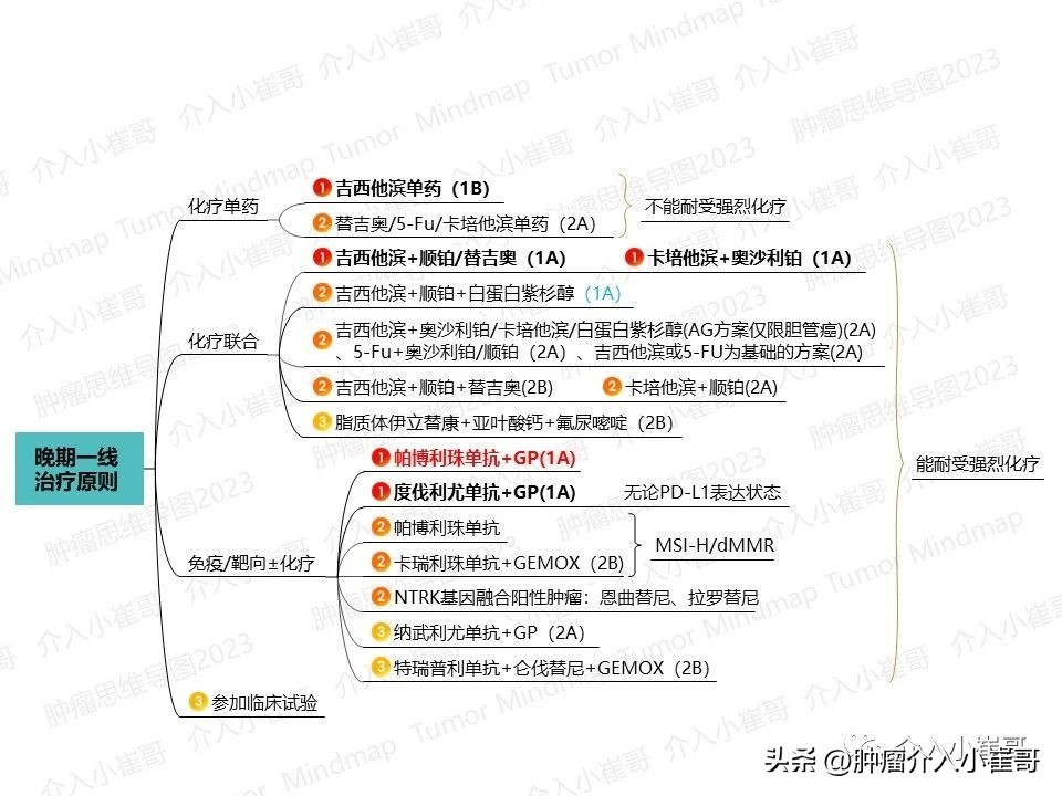 CSCO2023肿瘤思维导图胆囊癌诊疗指南