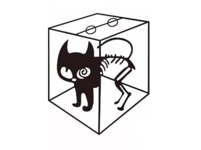 换个维度认识幸福,转个角度遇到爱