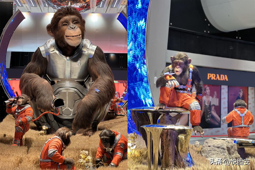 成都skp新店开业,成都skp开业最新时间