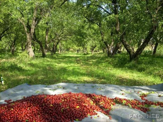 阎良飞机城旅游攻略一日游,阎良航空城一日游美篇
